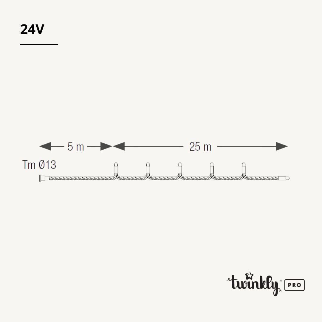 Guirlande Twinkly Pro RVB L25m - 24V
